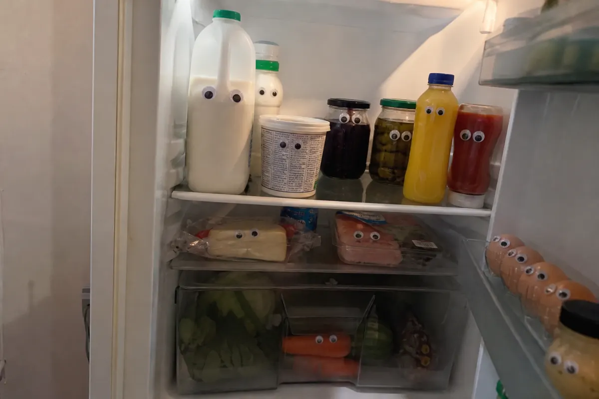 Googly eyes on everything