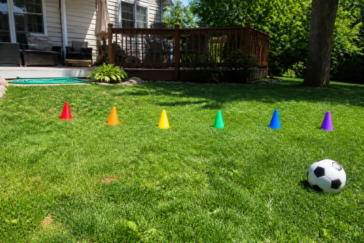 Cones set out on a lawn for a backyard party game