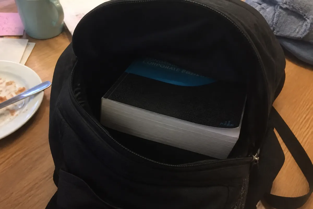 Bag brick