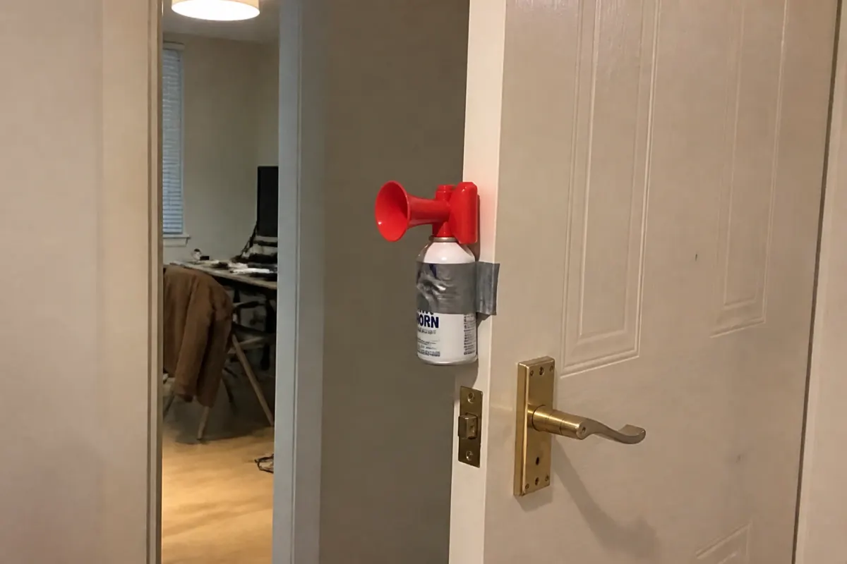 Air-horn door