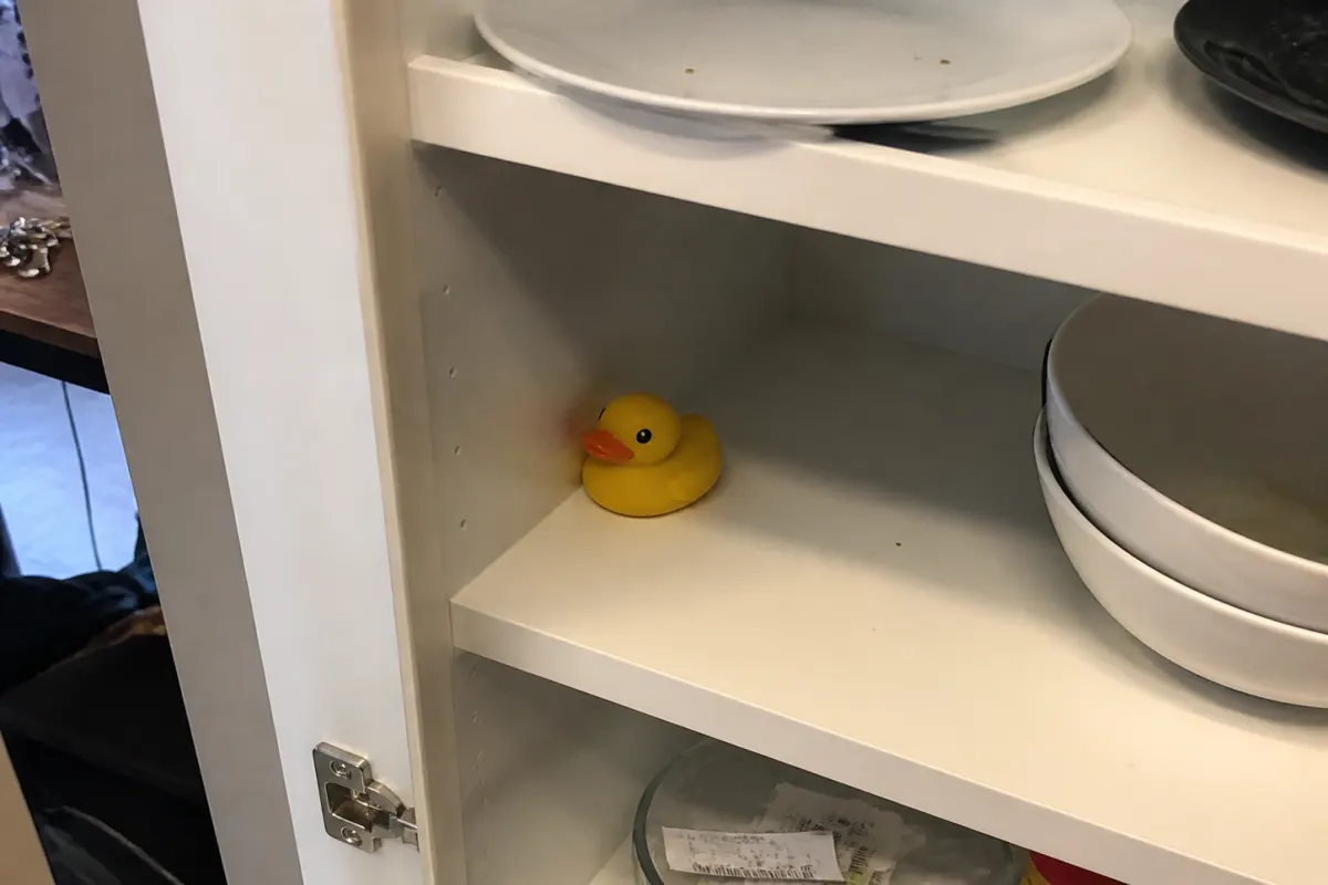 Mystery duck
