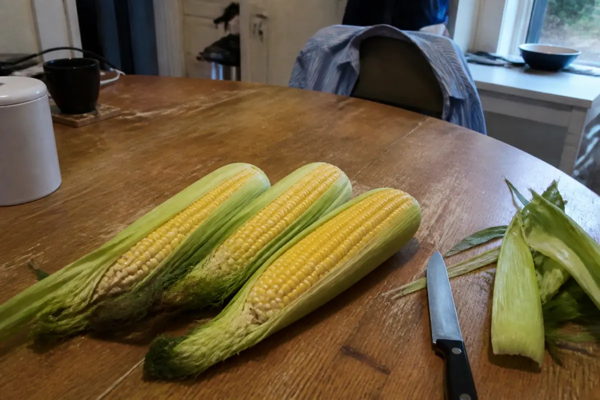 Corn cobs on a wooden table