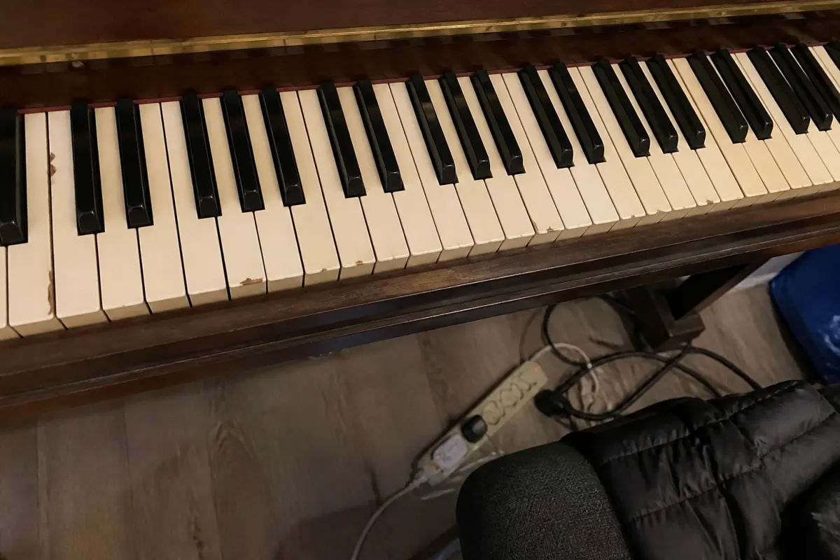 Close-up of piano keys