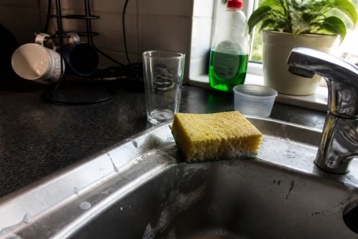 A kitchen sponge holding water