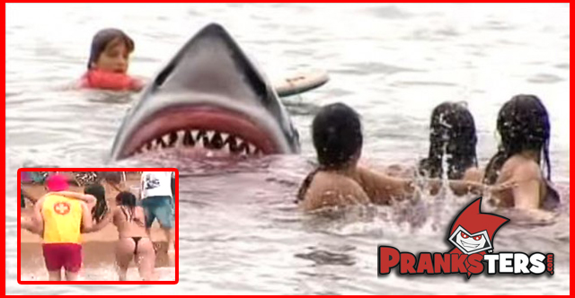 Shark prank brazil